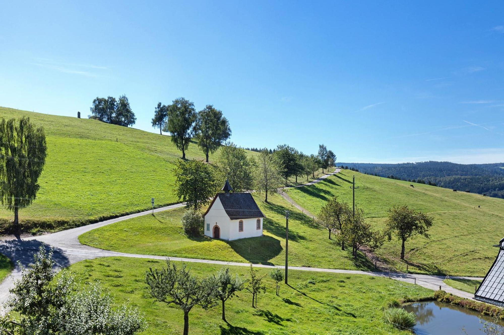Kapellenhof Ferienwohnungen 트리베르크 외부 사진